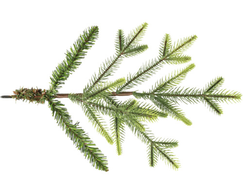 Konstgjord grankvist med realistiska gröna barr och en brun stjälk.