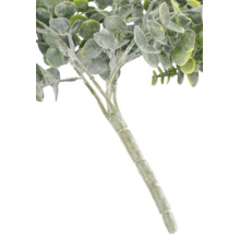 Konstgjord eukalyptuskvist med runda blad och en strukturerad stjälk