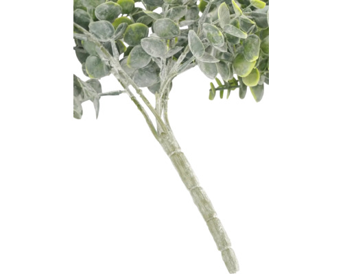 Konstgjord eukalyptuskvist med runda blad och en strukturerad stjälk