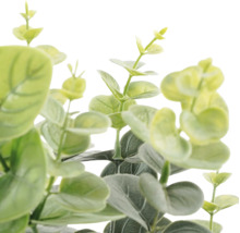 Närbild av en konstgjord eukalyptuskvist med runda blad för dekoration.