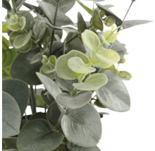 Konstgjord eucalyptusväxt med runda, gröna blad.