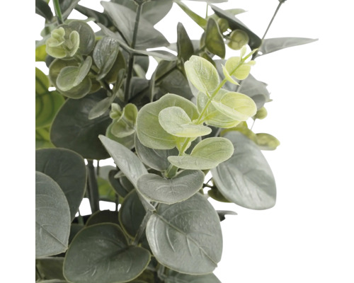Konstgjord eucalyptusväxt med runda, gröna blad.
