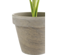 Närbild av en blomkruka med stenlook och synliga växtstjälkar.