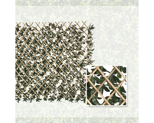 Utdragbart spaljé i pil med konstgjorda blad och detaljvy.