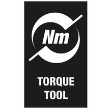Symbol för momentverktyg med angivelse i Newtonmeter.