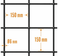 Detaljvy av ett svart metallgaller med en maskvidd på 150 gånger 150 millimeter och en tråddiameter på 6 millimeter.