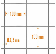 Trådnät med 100 millimeter maskvidd och 2,5 millimeter tråddiameter.