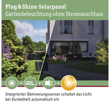 Plug & Shine solpanel för trädgårdsbelysning utan strömanslutning med integrerad skymningssensor.