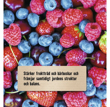 Närbild på hallon, blåbär och jordgubbar med text om att stärka fruktträd och bärbuskar.