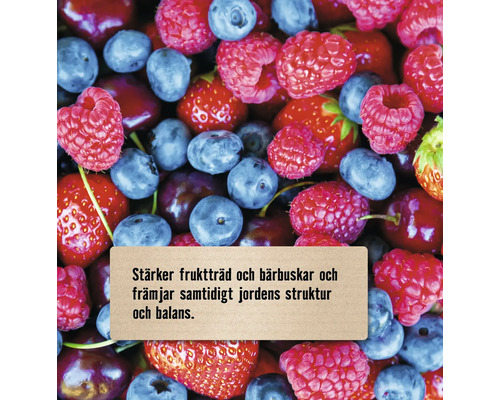 Närbild på hallon, blåbär och jordgubbar med text om att stärka fruktträd och bärbuskar.