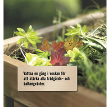 Blomlåda i trä med blad och text om att vattna trädgårds- och balkongväxter en gång i veckan.