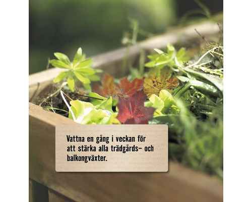 Blomlåda i trä med blad och text om att vattna trädgårds- och balkongväxter en gång i veckan.