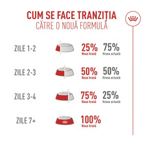 Infografik om foderövergång under 7 dagar med ökande andelar från 25 procent till 100 procent nytt foder. Royal Canin Logo.