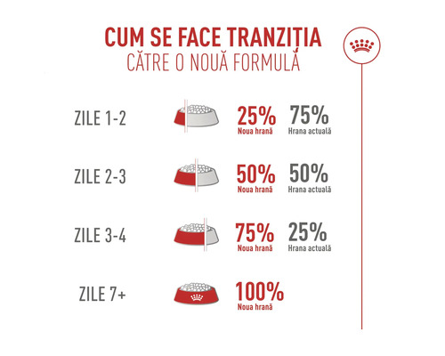 Infografik om foderövergång under 7 dagar med ökande andelar från 25 procent till 100 procent nytt foder. Royal Canin Logo.