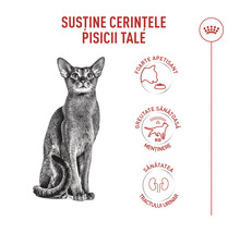 Royal Canin Logo. Fördelar med kattfoder: Hög smaklighet, viktkontroll och stöd för urinvägarna.