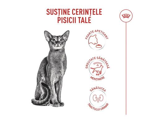 Royal Canin Logo. Fördelar med kattfoder: Hög smaklighet, viktkontroll och stöd för urinvägarna.