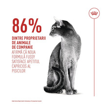 Sittande katt bredvid text: 86 procent av ägarna bekräftar att Fussy-formeln tillfredsställer kräsna katter. Royal Canin Logo.