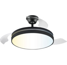 Modern takfläkt med LED-belysning, runt svart hölje och transparenta blad.