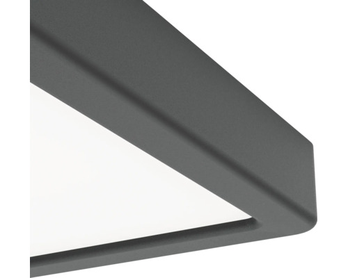 Detaljvy av hörnet på en modern taklampa med mörk metallram och vit diffusor.