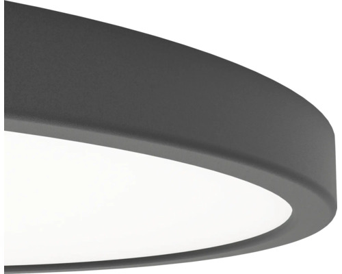 Detaljvy av en platt, rund LED-taklampa med mörk metallram och vit diffusor.