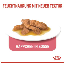 Royal Canin våtfoder bitar i sås med ny textur på en tallrik.