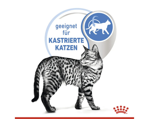 Symbolbild kattmat för kastrerade katter med Royal Canin logotyp