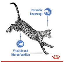 En hoppande katt med information om instinktiv preferens, vitalitet och njurfunktion samt Royal Canin logotyp.