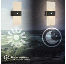 Rektangulär vägglampa med rörelsedetektor och skymningsrelä framför landskap vid dag och natt