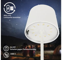 LED bordslampa med utbytbart batteri och ljuskälla, USB C anslutning och strömbrytare mot djupurladdning mot en nattlig bakgrund.