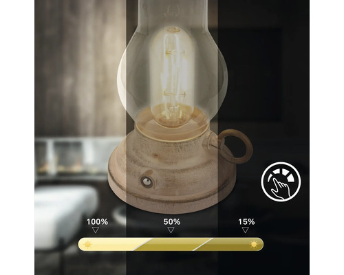 Dimbar LED bordslampa i vintagestil med glaskupa och tre justerbara ljusstyrkenivåer