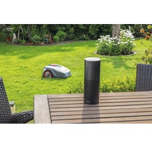 En robotgräsklippare på en gräsmatta med ett Amazon Echo på ett träbord