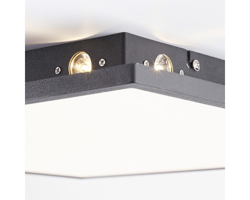 Närbild av en svart taklampa med LED-teknik