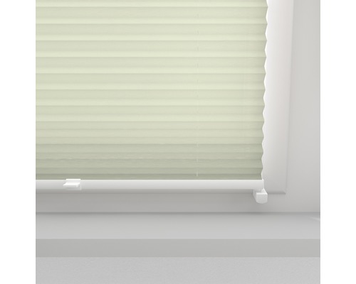 Plisségardin i fönstret