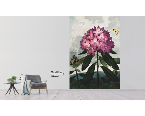 Vägg med blommig tapet med rhododendronmotiv och en storlek på 194 x 280 cm