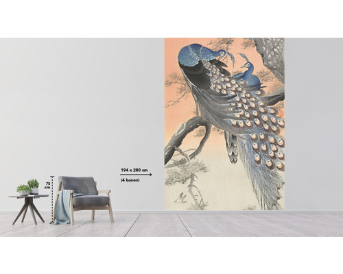 Fototapet med påfågelmotiv på en gren, storlek 194 x 280 cm