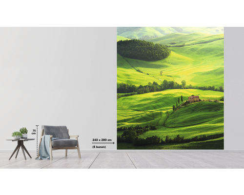 Fototapet med landskapsmotiv av ett grönt kuperat landskap med hus, format 243 x 280 centimeter