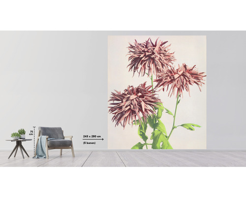 Scen med en fototapet med blommönster i rummet, mått 243 gånger 280 centimeter