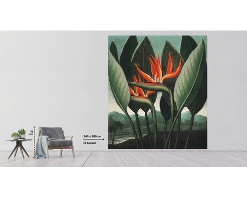 Fototapet med paradisfågelblommotiv i ett ljust rum