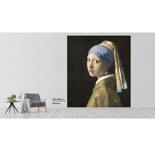 Väggbild med motivet Flicka med pärlörhänge av Jan Vermeer, storlek 243 x 280 cm
