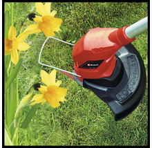 Einhell Logotyp. Grästrimmer i drift på gräsmatta bredvid påskliljor.