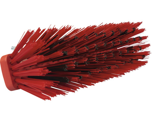 Borsthuvud med borst