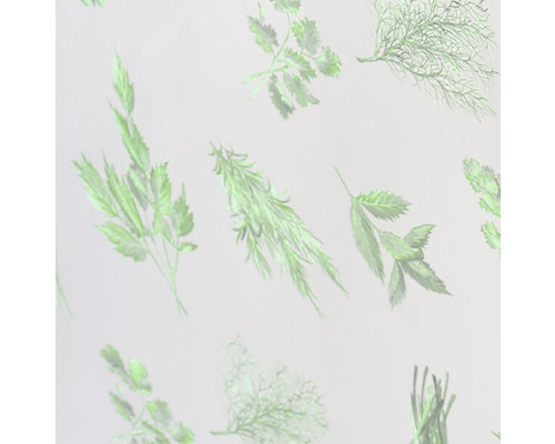 Illustration av olika örter