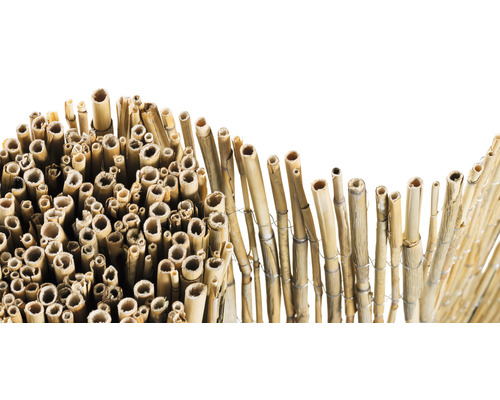 Bambumatta som insynsskydd för trädgården