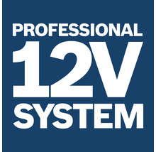 Professionellt 12 volts system