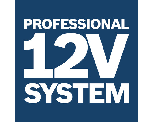 Professionellt 12 volts system