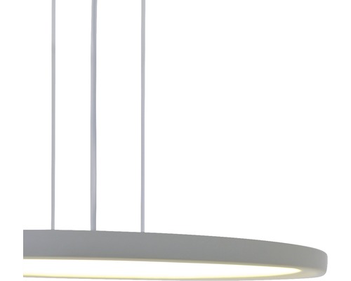 Rund hänglampa med vajerupphängning