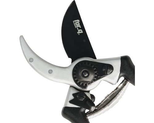 Trädgårdssax med svart blad och silverfärgat huvud.