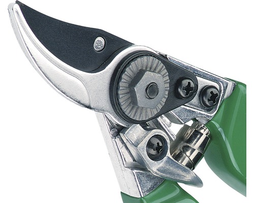 Detaljbild av en trädgårdssax med gröna handtag och silverfärgade blad