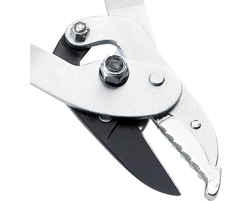 Grensax, detaljvy av bladet