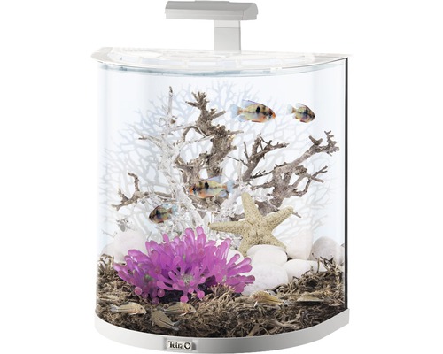 Akvarium med dekoration och fiskar